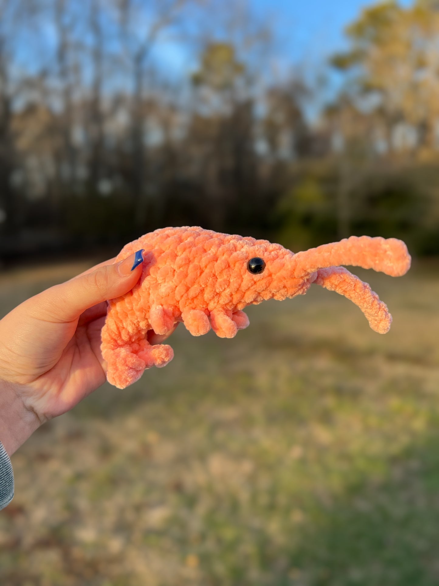 Crochet Shrimp