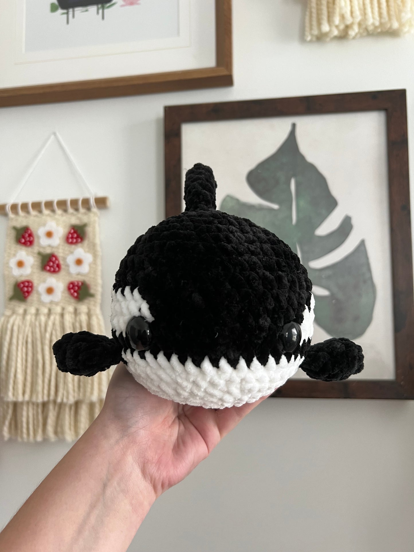 Orca Whale